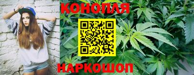 шишки Кинель