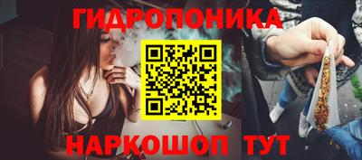 ECSTASY Кингисепп