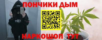 шишки Кинель