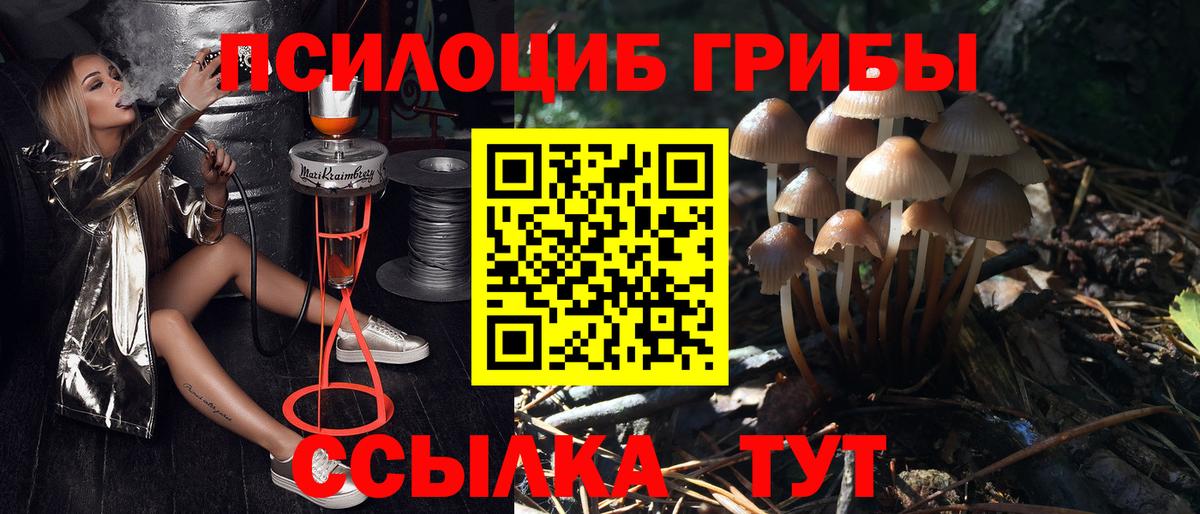 Лениногорск  Галлюциногенные грибы Cubensis  Псилоцибиновые грибы ЛСД  Вход с VPN 